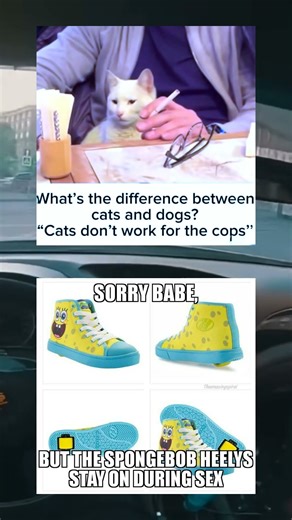 No Narcs Detected + And Thats Final