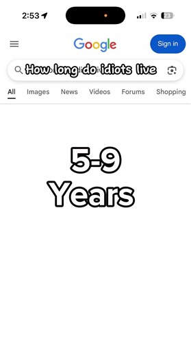 I’m still here #animalblocks #fypシ #funny #trending #viral