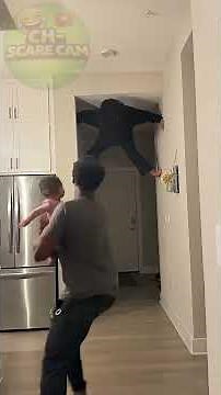 Scary Pranks, Epic Reactions & Funny Moments # /HiddenCamera #JumpScare #Pranks / CH-Scare Cam