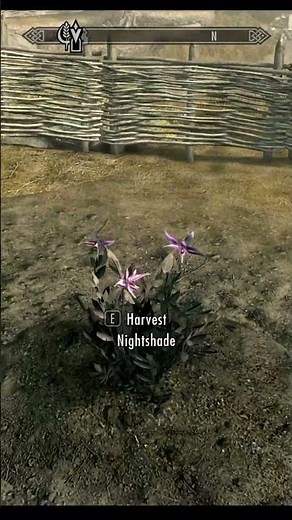 The Best Way to Train Alchemy in Skyrim