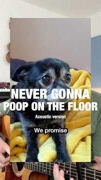 Never Gonna Poop on the Floor - Acoustic Version (Puppy Songs)
