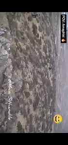 Amaphisi #viralchallenge #hunting #huntingseason #huntingsouthafrica #doglife #Amaphisi | Amaphisi Kazwelonke