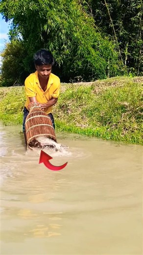 Ancient Fish Trap Technique is Satisfying to Watch! 🐟