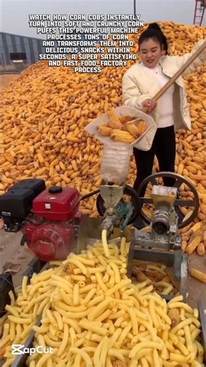 Corn Puff Making Machine in Full Action