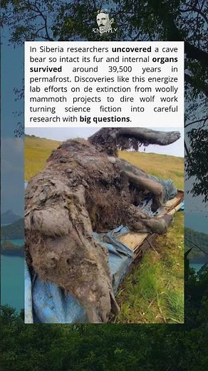 Keeps Secrets Alive 🧊