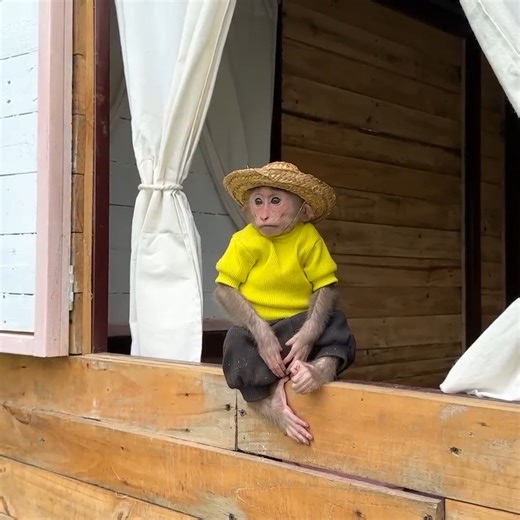 Lily hurried to give first aid when Dad got hurt in the garden | Smart Animal