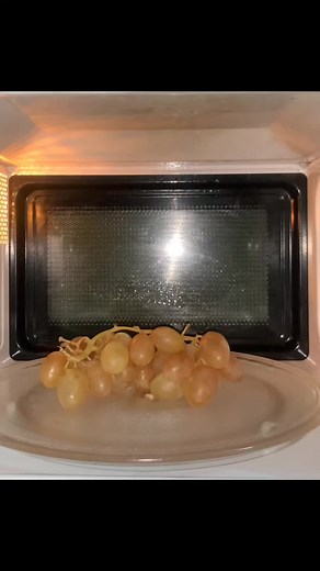 microwave_smash on TikTok