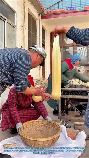 麦芽糖の切り分け技術：糸を使った精密な分量調整