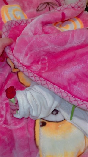 سندريلا: قصة ساحرة وجمال مدهش