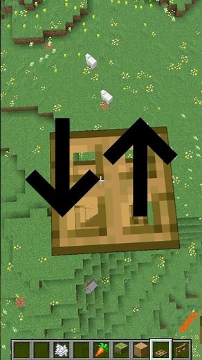 MINECRAFT | Different Use Of TRAPDOOR #minecraft