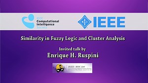 Similarity and Fuzzy Logic in Cluster Analysis