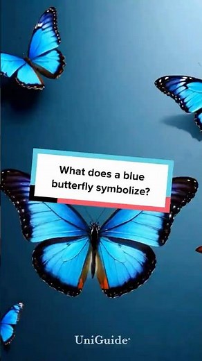What does a blue butterfly symbolize?