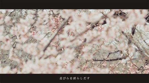 【ANRI Arcane】Hanafubuki【DJ Dohetaro】