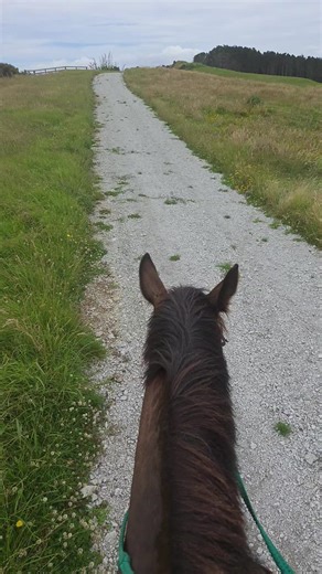 lifebysonya (@lifebysonya)’s videos with Let's Have Some Fun Alt - The Desperados