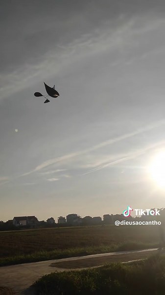 Lại Là VIEW Đẹp #diềusáocầnthơ #diêukinhmon #diều_sáo_việt_nam