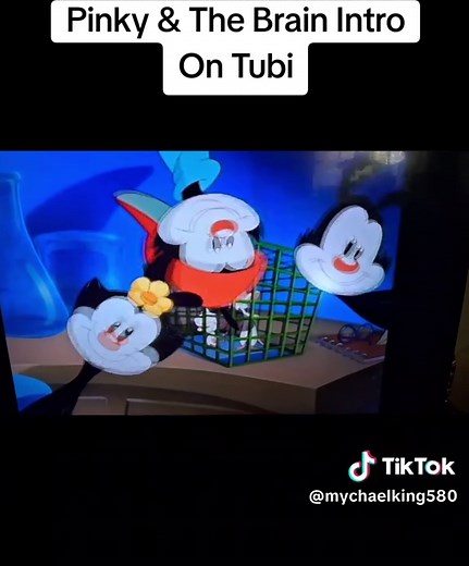 Animaniacs: Pinky and The Brain