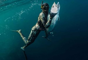 Key West Spearfishing - Book Today! - Key West Charter Boat