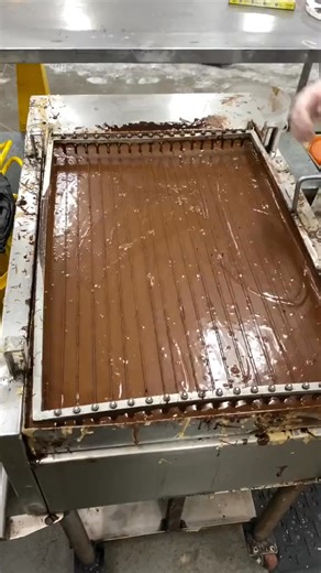 #instapizza #ginodecampo #instagood #roychoi #foodasia #pizzatime #foodporn #foodgasm #pizza #foodiesofinstagram #koreanpizza #pizzalove #pizzcarlsdonutslv-69381720892034613 #food #jamesmartinsaturdaymorning #caputo #tokyopizza #mutti | Harmony Symphony