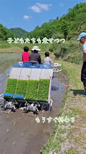 田植え終盤戦 子どもたちを乗せつつ走る🏃 田植え機に乗った感想は 『ちょっと怖かった😣』 でした😆🌱 これから、草抜きの日々に なります #田植え#農業初心者🔰 #広島 #世羅町