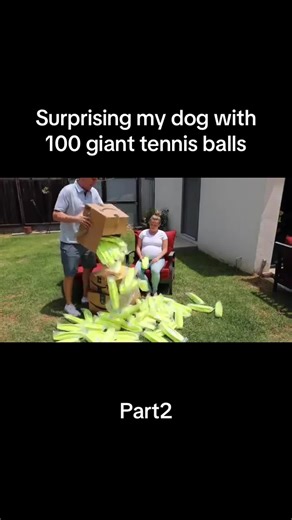 Surprising My Dog with 100 Giant Tennis Balls