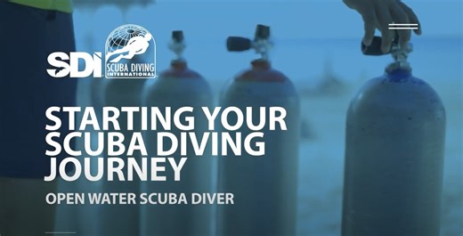 4.8K views · 94 reactions | Are you ready to jump in and start...