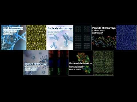 INNOPSYS LS Optical System