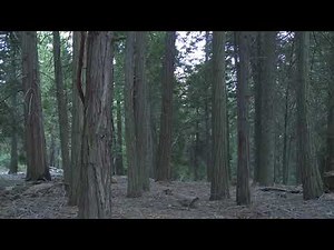 James Benning's Nightfall [2012]