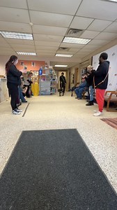 Roy, who’s call the shelter home for just over a year, finally found the perfect family to rescue! Congratulations and thank you for adopting this sweet boy! (We do not own the rights to the music.🎶) | Stark County Humane Society