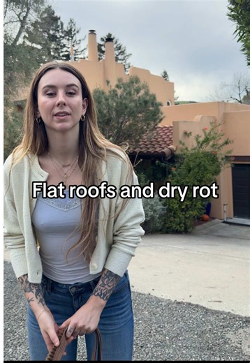 Understanding Flat Roofs, Parapet Walls, and Dry Rot Risks