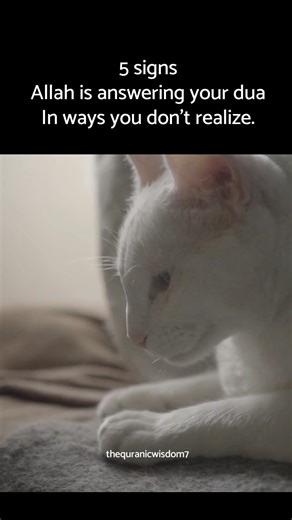 5 signsAllah is answering your dua