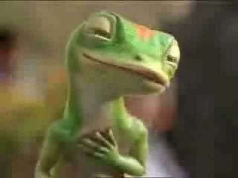 The GEICO Gecko has Really Bad Gas