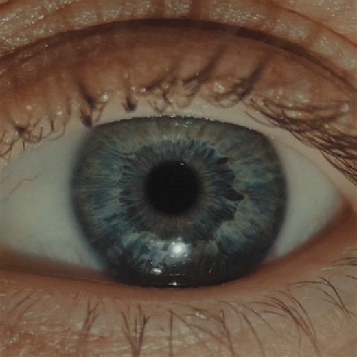 Mono Development Ads