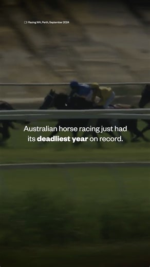 Deaths at the Melbourne Cup are the most visible in the racing calendar, but do you know how many horses are killed because of Australia’s racing industry throughout the year? 💔 | Animals Australia