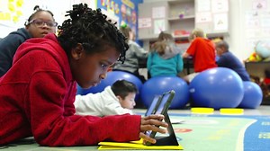 Differentiating for Diverse Learners