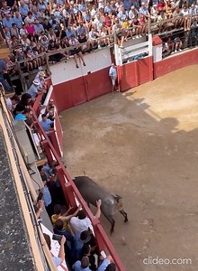 268K views · 2.2K reactions | Salida..............Partido de Resina............Benassal ( Festes Patronals 2025).....Colla Casats i Fadrins Autor: @colla_cif_benassal | Peña Taurina "Vaquillas 88" | Facebook