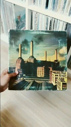 Pink Floyd - Pigs (Three Different Ones) 📀🎶
