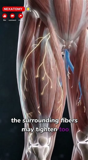 Why Do Your Muscles Feel Like They Have Knots?