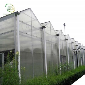 [Hot Item] Best Quality Multi Span Commercial Greenhouse Cost Agricultural Green Houses Kits Polycarbonate Greenhouses