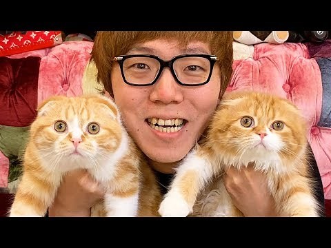 初！まるお& もふこ と生配信！【ヒカキンTV】