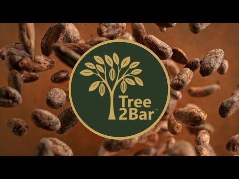 Tree2Bar Launch