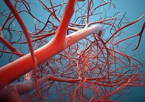 World's first 3D blood vessel bio-printer could lead to the fabrication of human organs