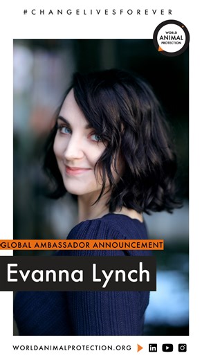 4.8K views · 41 reactions | We're proud to announce Evanna Lynch is joining World Animal Protection as a Global Ambassador! As a lifelong animal lover and welfare advocate, and having a deep emapathy for all creatures, Evanna will use her voice to support an end to animal cruelty and suffering. We are thrilled to have her support and shared passion, and together we can continue to protect and improve the lives of wild and farmed animals worldwide  | World Animal Protection | Facebook