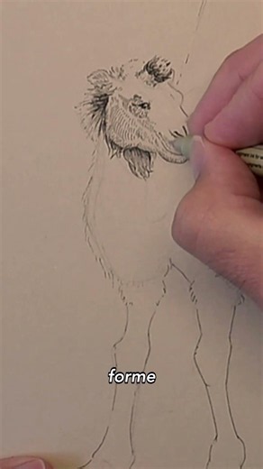 Inking with a liner: how hatching builds volume in a drawing