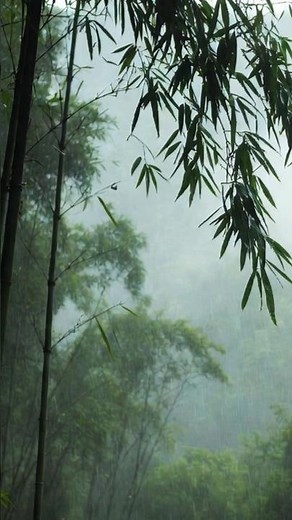 【放鬆純音樂】點擊☝️聽完整版音樂.想要一個不打擾的陪伴,請訂閱我~Deep Healing BGM Late Night Comfort Music Relaxing & Comfort Music