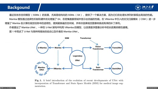 Mamba-UNet UNet-Like Pure Visual Mamba for Medical Image Segmentation（Oxford 202