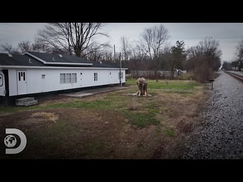 Un investigador desentierra los fantasmas de una casa | Expedientes Paranormales | Discovery