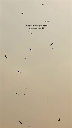 😊❤️‍🩹#80s_melody #englishcaption