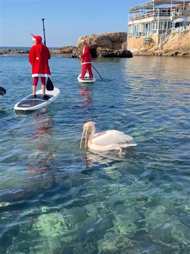 Live Love Beirut on Reels