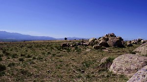 A few definitive design's Tacoma devices we made for our EU's H2020 programme. It was a windy day! They look promising despite they are handmade prototypes. A future industrialised product won't be much different than this. | Vortex Bladeless Wind Energy