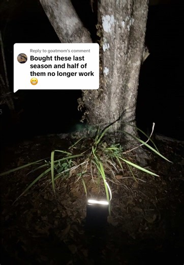 Enhance Your Home's Curb Appeal with Solar Lights